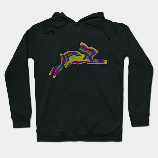 Trippy Rabbit Hoodie by Liesl Weppen